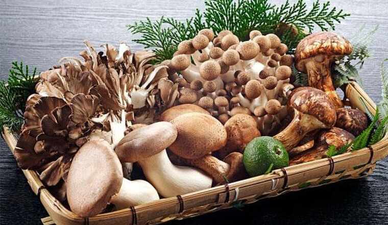 Nấm là thực phẩm giàu dưỡng chất ngày càng được ưa chuộng